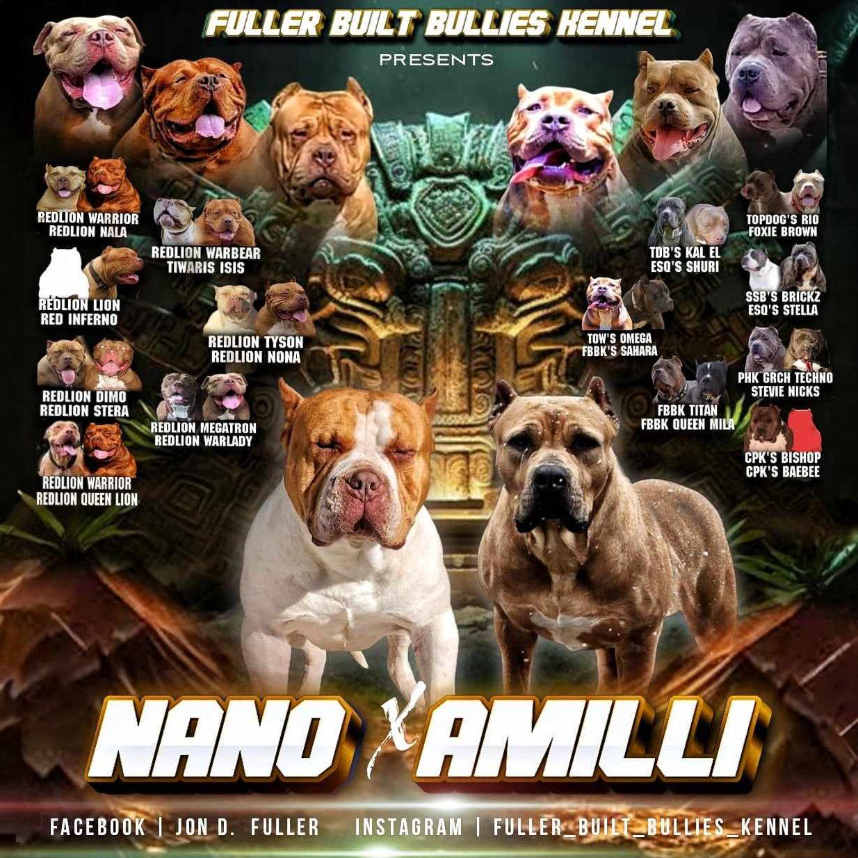 You are currently viewing VietShark’s Nano X FBBK’s Amilli